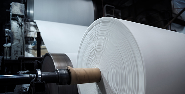 Pulp & Paper Industry 3V Sigma USA